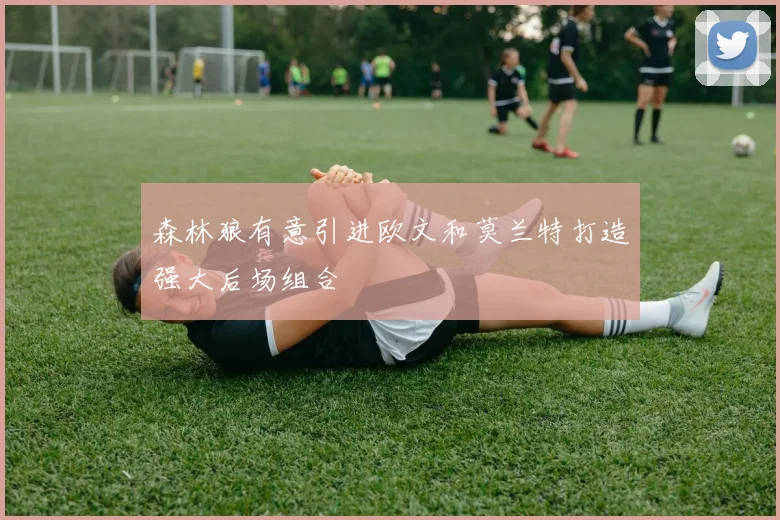 森林狼有意引进欧文和莫兰特打造强大后场组合