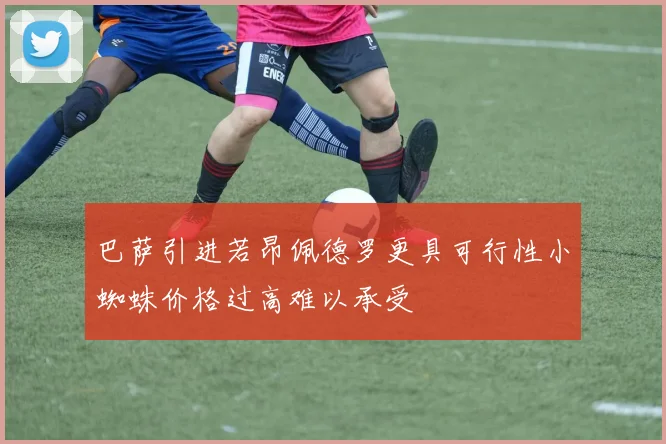 巴萨引进若昂佩德罗更具可行性小蜘蛛价格过高难以承受